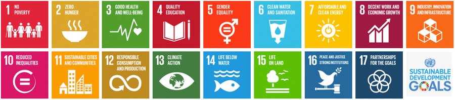 United Nations Sustainable Development Goals